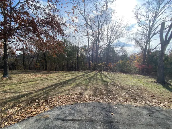 000 Seagull Lane, Cape Fair, MO 65624