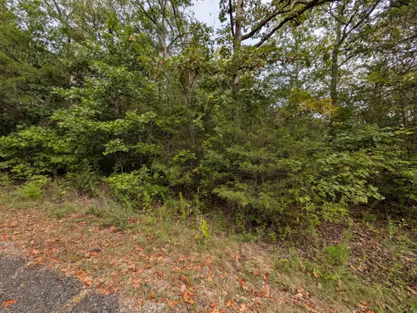 000 N Lot 296 Millstone ST, Shell Knob, MO 65747