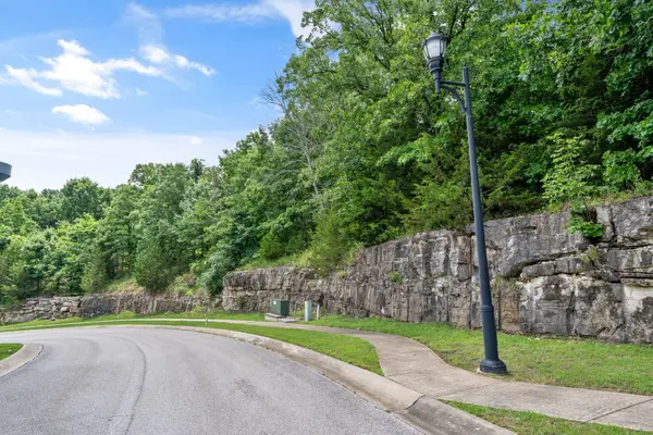 137 Forest Oak DR, Hollister, MO 65672