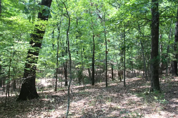 000 Country Club DR #Blk 6 Lot 5a, Theodosia, MO 65761