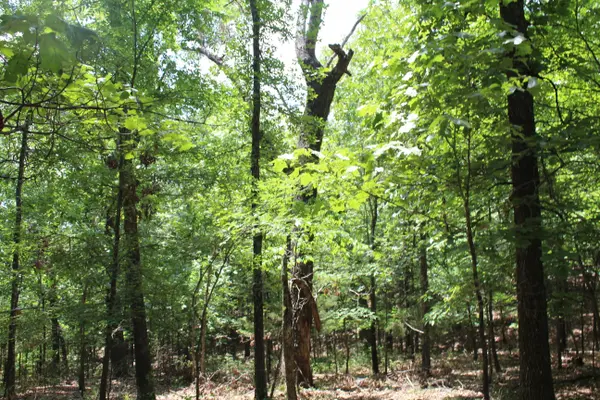 000 Old Mill DR #Block 5 Lot 9b, Theodosia, MO 65761