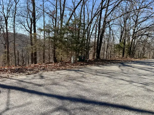 1233 Kingsgate RD, Lampe, MO 65681