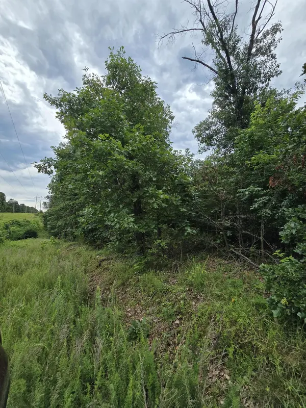 15039 Condor DR, Seneca, MO 64865