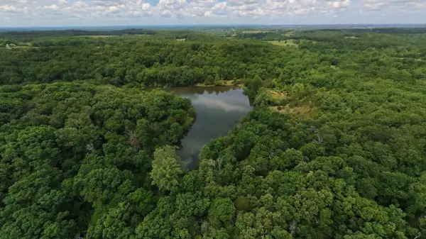 298 Eaton Run, Wasola, MO 65773