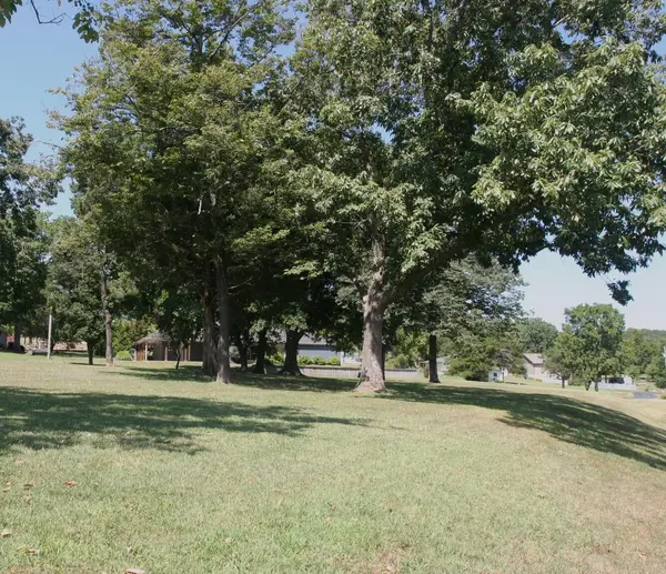 Lot 8 & 9 Twin Island DR, Blue Eye, MO 65611