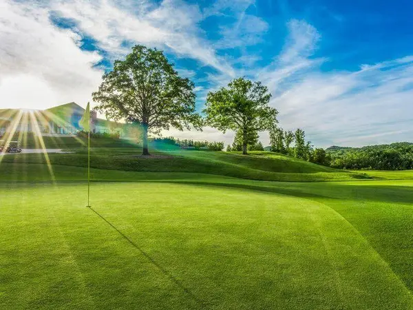 Tbd Pebble Beach DR #Lot 13, Branson, MO 65616