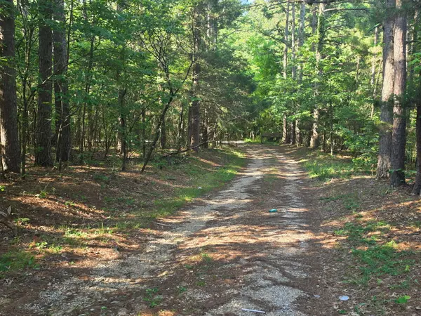1640 County Road 203, Alton, MO 65606
