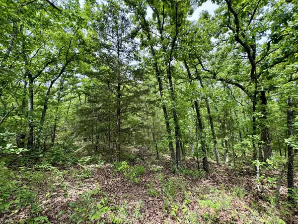 000 Cottengim Road RD, Macomb, MO 65702