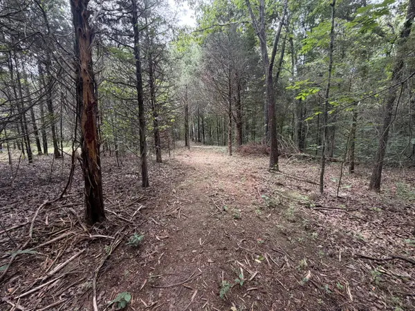 000 County Road 318 #Lot 5, Tecumseh, MO 65760