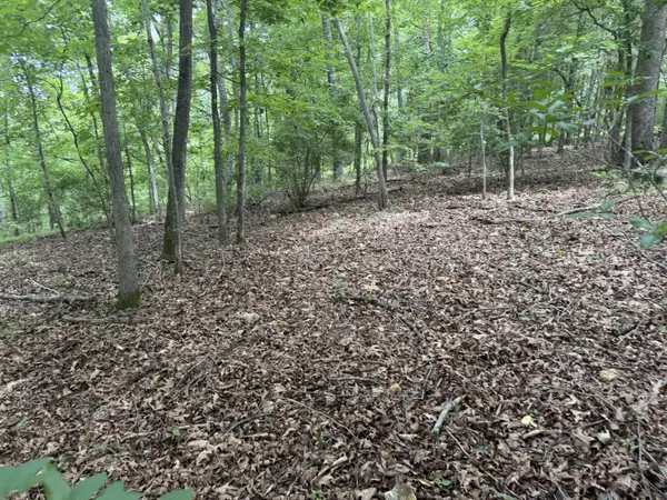 000 County Road 318 #Lot 6, Sycamore, MO 65760