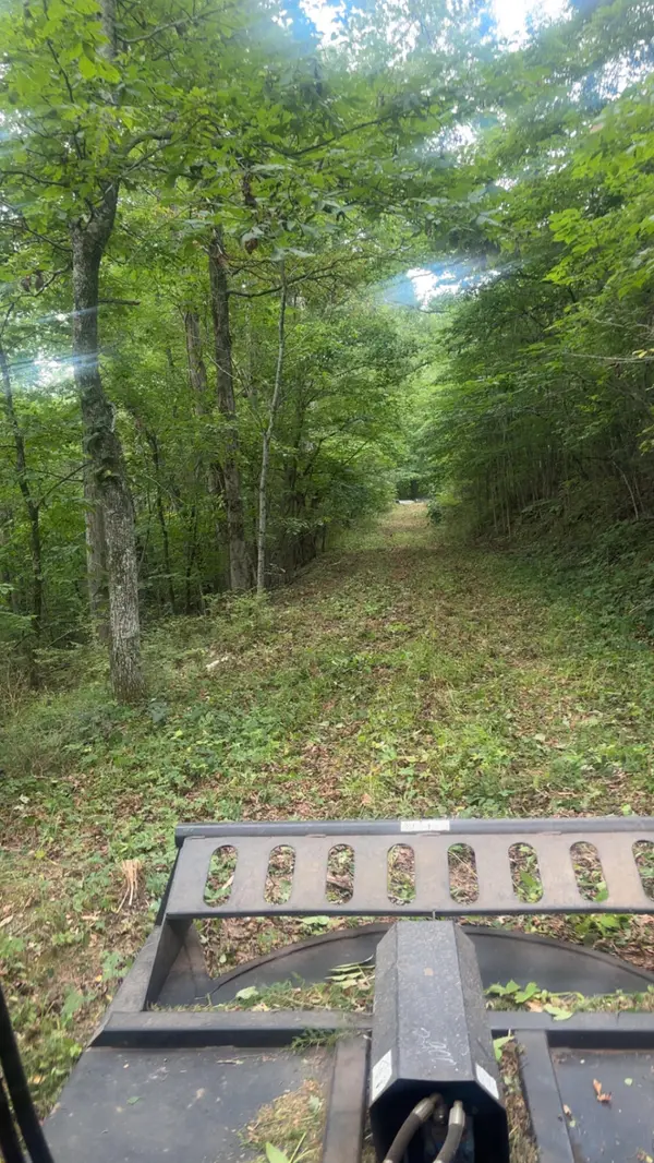 Tbd Railey Creek, Galena, MO 65656