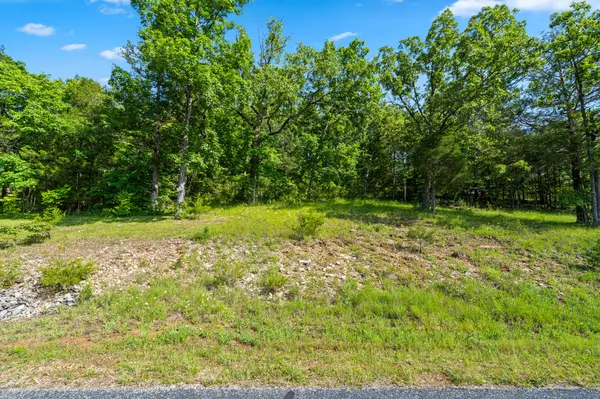 Tbd Cedar Bluff Lot 91a, Saddlebrooke, MO 65630