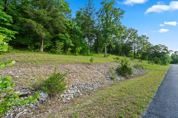 Tbd Cedar Bluff Lot 91a, Saddlebrooke, MO 65630