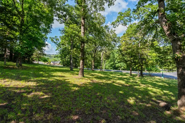 Tbd Cedar Bluff Lot 94, Saddlebrooke, MO 65630