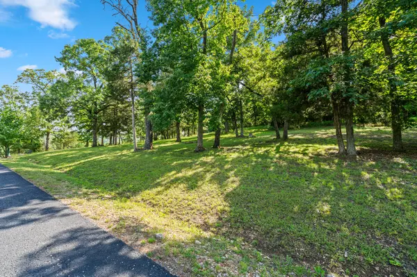 Tbd Cedar Bluff Lot 94, Saddlebrooke, MO 65630
