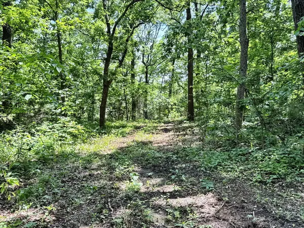 Tbd1 E 1550 RD, Jerico Springs, MO 64756