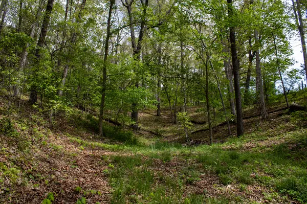 370 Hayes Spring DR, Crane, MO 65633