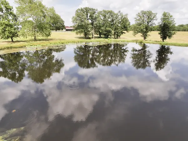 29282 Militia RD, El Dorado Springs, MO 64744