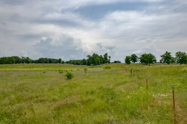 Xx Kodiak RD #4, Neosho, MO 64850