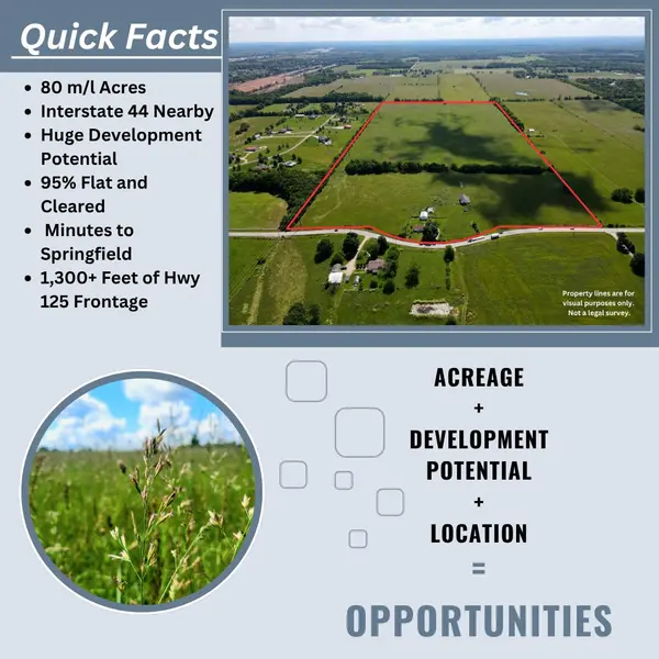 3246 N State Highway 125, Strafford, MO 65757