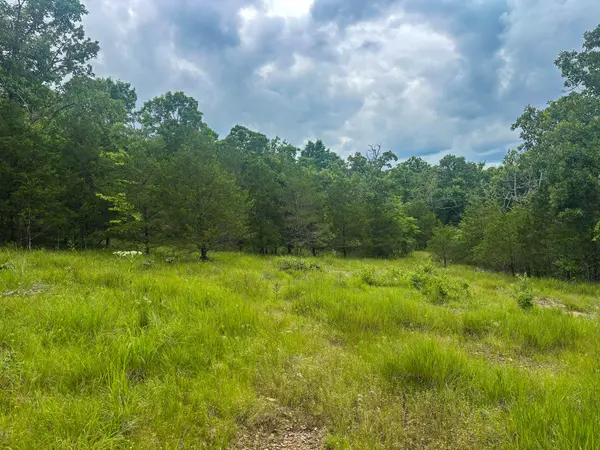000 County Road 815, Gainesville, MO 65655