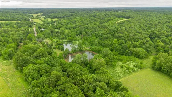 21 Lakeview LN, Anderson, MO 64831