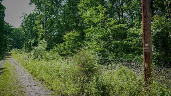 000 Arrowhead CIR, Shell Knob, MO 65747