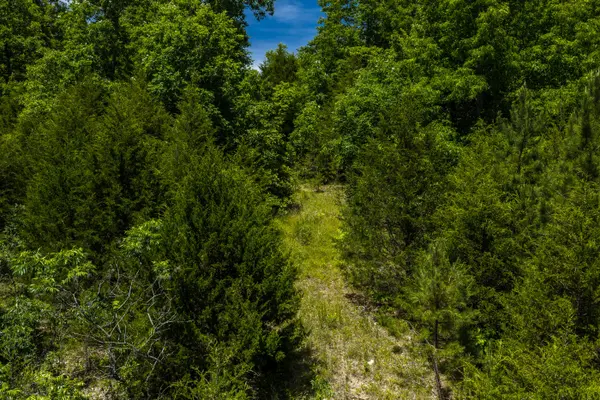 Tbd Timberhill Road-Tract 1, Raymondville, MO 65555