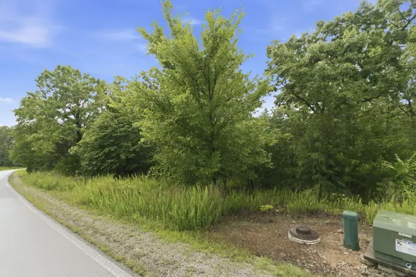 Lot 139 Beechwood Drive, Branson West, MO 65737