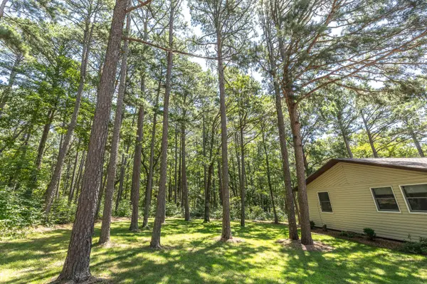 11545 Slaughter RD, Licking, MO 65542