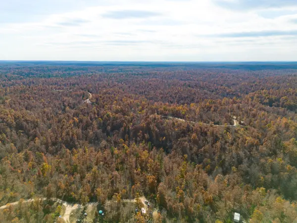 15682 Winding TRL, Birch Tree, MO 65438