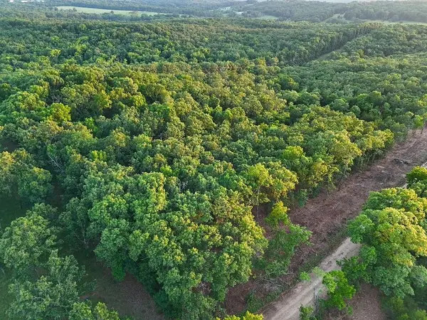 006 Cantrell RD, Mansfield, MO 65704