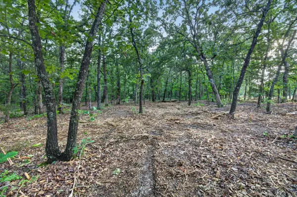 004 Cantrell RD, Mansfield, MO 65704