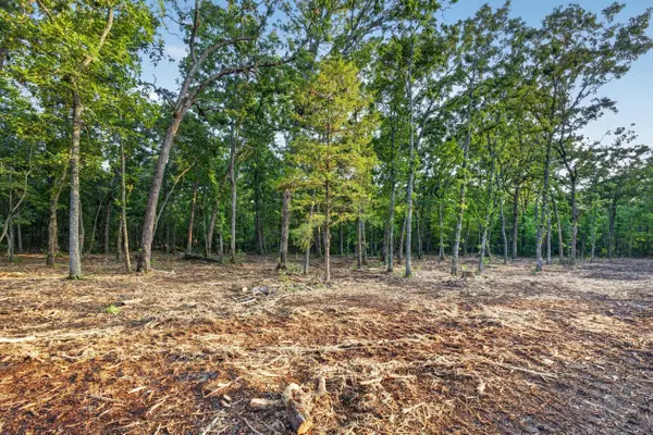 004 Cantrell RD, Mansfield, MO 65704