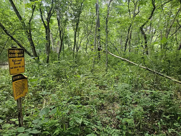 00 Forest Road 7989, Plato, MO 65552
