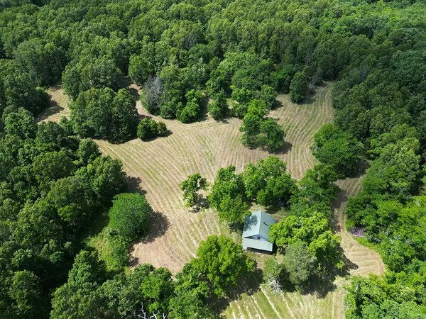 00 Forest Road 7989, Plato, MO 65552
