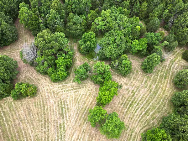 00 Forest Road 7989, Plato, MO 65552