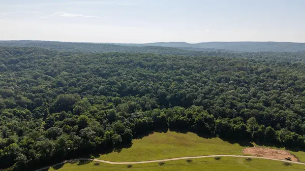 000 County Road Dd 447, Chadwick, MO 65629