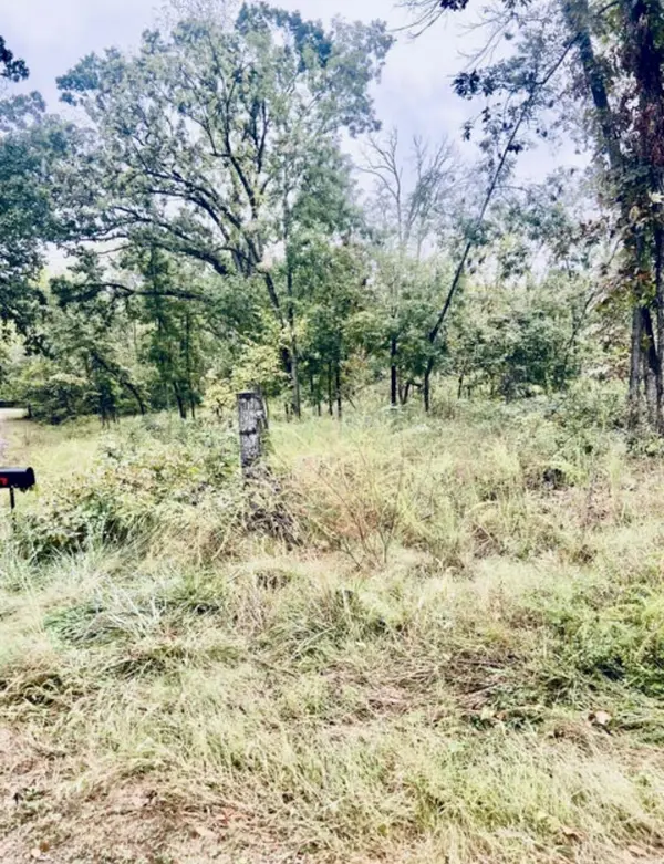 294 E Dade 68, Greenfield, MO 65661