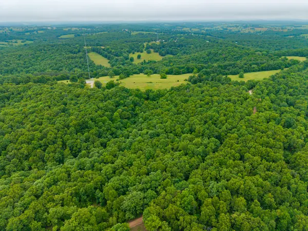 000 Co Rd 519 #Tract 3, Hardenville, MO 65666
