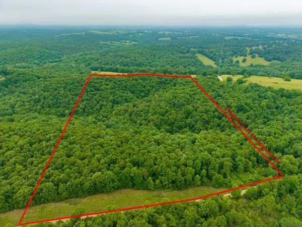 000 Co Rd 519 #Tract 2, Hardenville, MO 65666