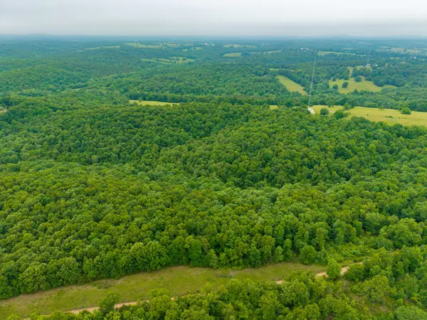 000 Co Rd 519 #Tract 2, Hardenville, MO 65666