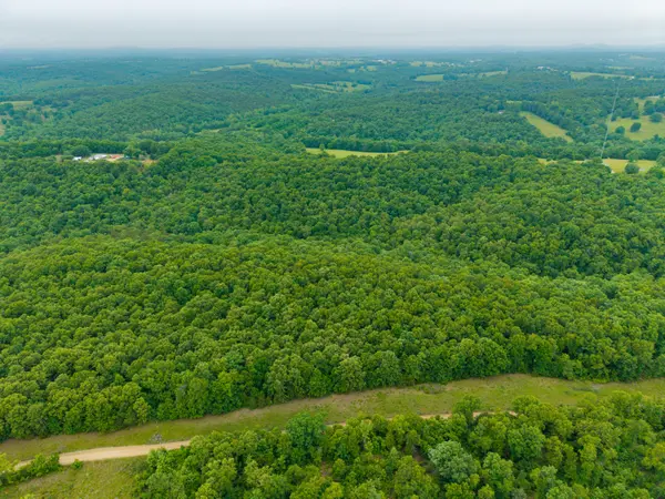 000 Co Rd 519 #Tract 1, Hardenville, MO 65666
