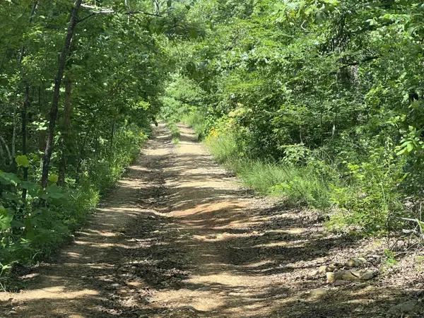 000 Pr Off Ridge Haven, Mammoth Spring, AR 72554