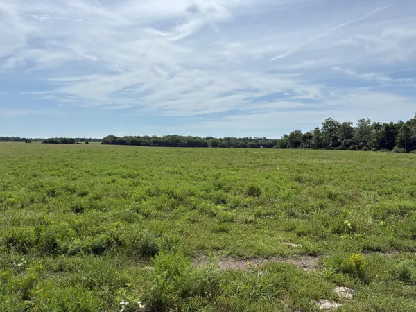 22665 State Hwy 83, Weaubleau, MO 65774