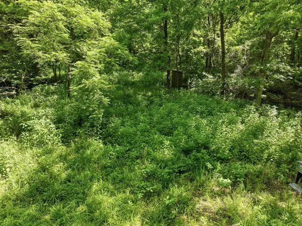 000 Barn Hollow Drive, Mountain View, MO 65548