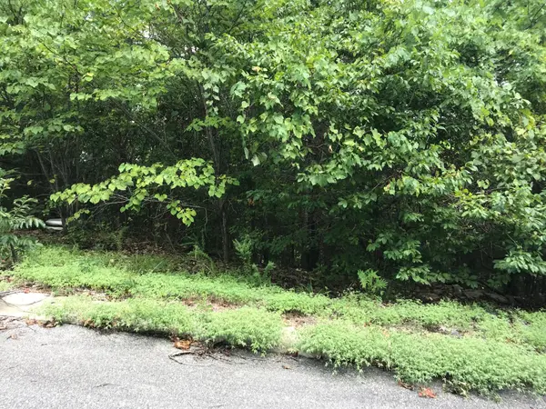 Lot 256 Skylee DR, Hollister, MO 65672