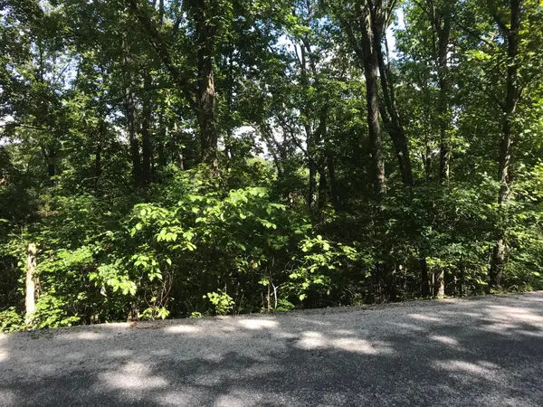 Lot 227 Syler CIR, Hollister, MO 65672