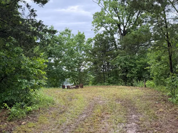 Tract 1 Farm Road 1250, Golden, MO 65658