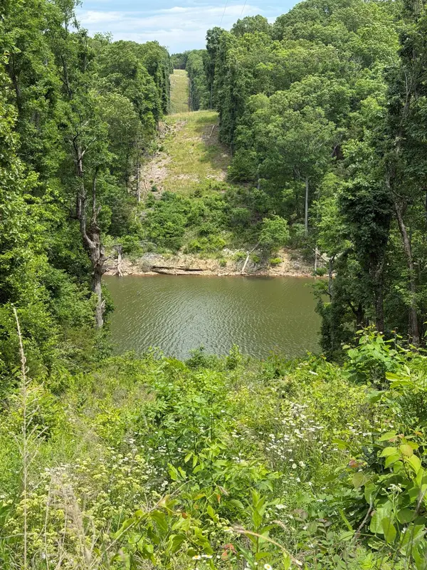 Tract 1 Farm Road 1250, Golden, MO 65658